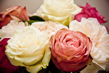 Similar image 21041370