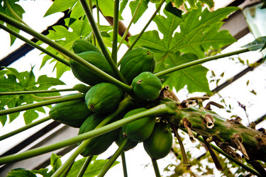 Similar image 21041373