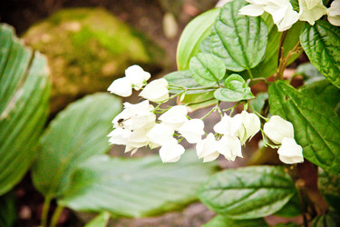 Similar image 21041375