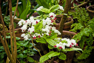 Similar image 21041376