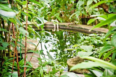 Similar image 21041377