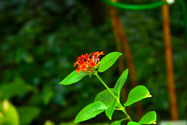 Similar image 21041378