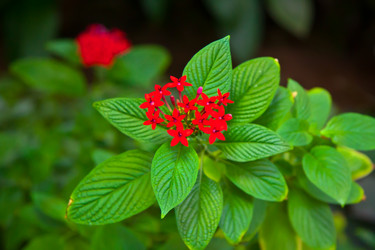 Similar image 21041380