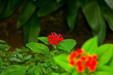 Similar image 21041381