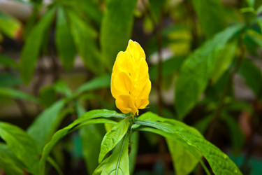 Similar image 21041383