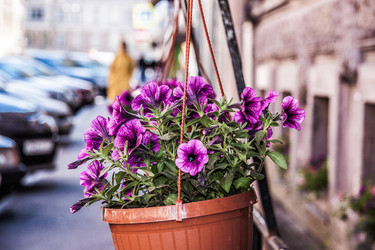 Similar image 21040486