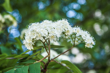 Similar image 21040488