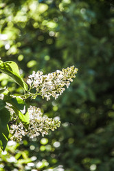 Similar image 21040490