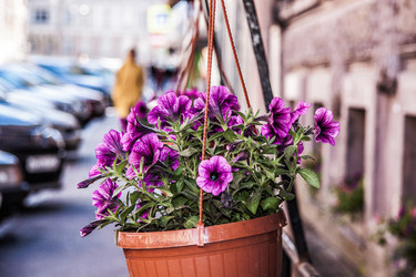 Similar image 21040789