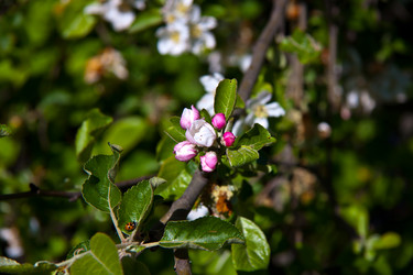 Similar image 21040791