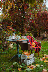 Similar image 21031550