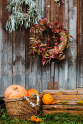 Similar image 21031557