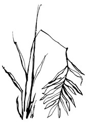 Similar image 21023807