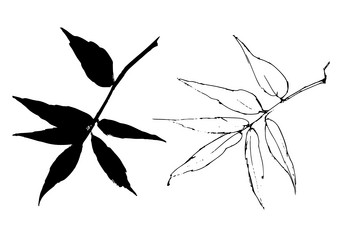 Similar image 21025164