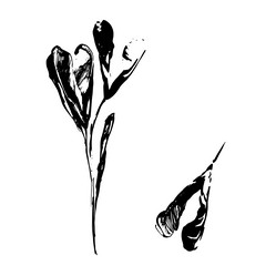 Similar image 21023811