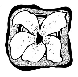 Similar image 21023954