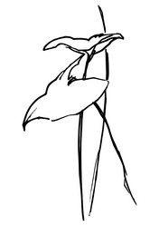 Similar image 21024371