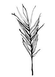 Similar image 21024372