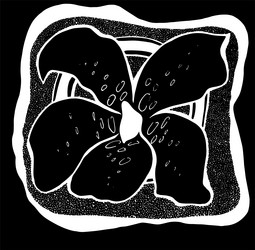 Similar image 21024379