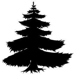 Similar image 21024382