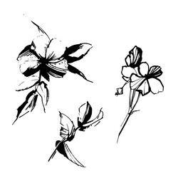 Similar image 21024601