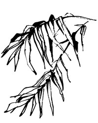 Similar image 21025369