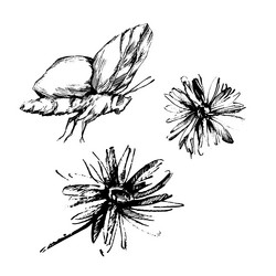 Similar image 21024602