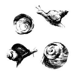 Similar image 21024603