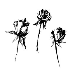 Similar image 21024719