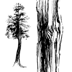 Similar image 21024723