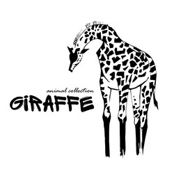 Similar image 21025204