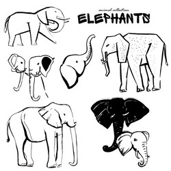 Similar image 21025209