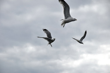 Similar image 21025212