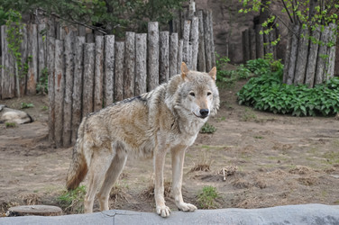 Similar image 21025214