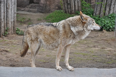 Similar image 21025215