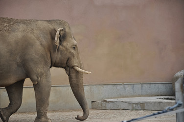 Similar image 21025216