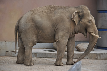 Similar image 21025217