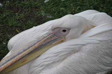 Similar image 21025220