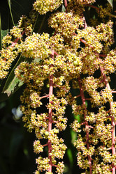 Similar image 21024138