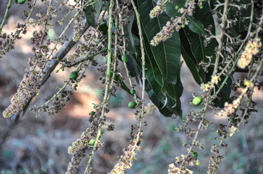 Similar image 21024139