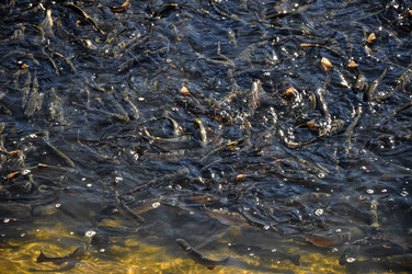 Similar image 21024140