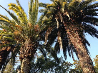 Similar image 21024401