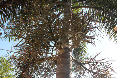 Similar image 21024403