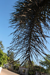 Similar image 21024404