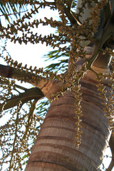 Similar image 21024405