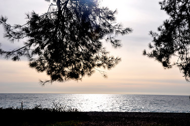 Similar image 21024412