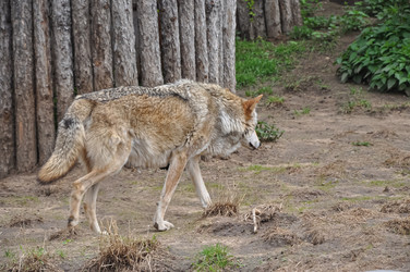 Similar image 21025291