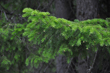 Similar image 21024415