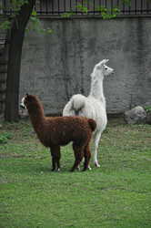 Similar image 21025295