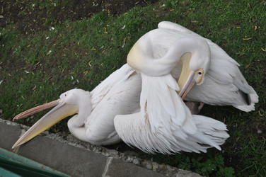 Similar image 21025373